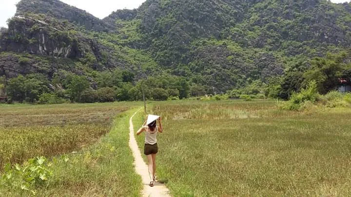 A path through fields in front of limestone mountains in Vietnam